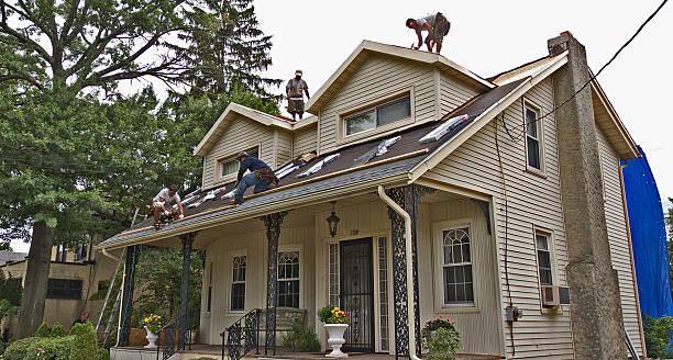 Best Storm Damage Roof Repair  in Pecan Grove, TX